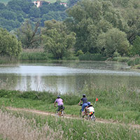 Activities at Villa Scannagallo Farm in Foiano della Chiana, near Cortona, Lucignano and Marciano