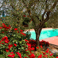 Apartments with swimming pool and park for children in Val di Chiana | Villa Scannagallo in Foiano della Chiana