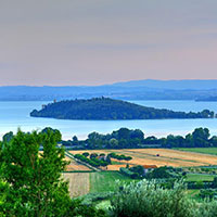 Services at Villa Scannagallo Farmhouse in Foiano della Chiana, near Lucignano and Marciano