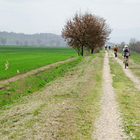 Services at Villa Scannagallo Farmhouse in Foiano della Chiana, near Lucignano and Marciano